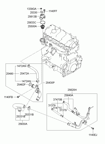 Sonata NF 13.02.2009 2009