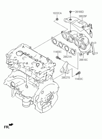 Elantra 10.05.2016 2017