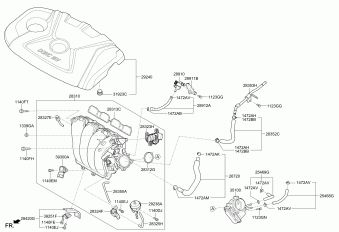 Elantra 13.02.2015 2015