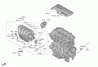Elantra 01.09.2020 2021