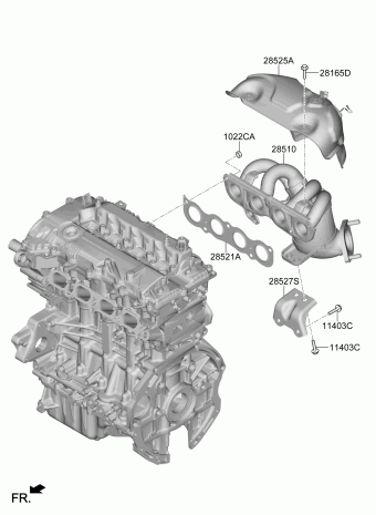 Elantra 01.09.2020 2021