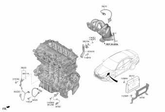 Elantra 01.09.2020 2021