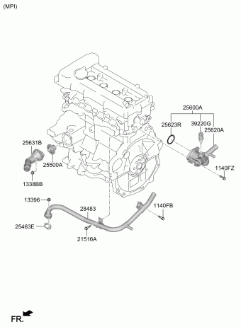Elantra 14.11.2019 2020