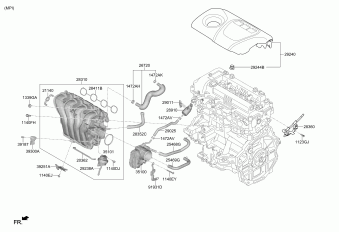 Elantra 14.11.2019 2020