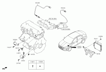 Elantra 14.11.2019 2020