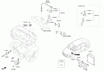 Elantra 20.08.2018 2018
