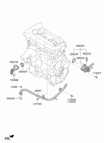 Elantra 14.12.2021 2022