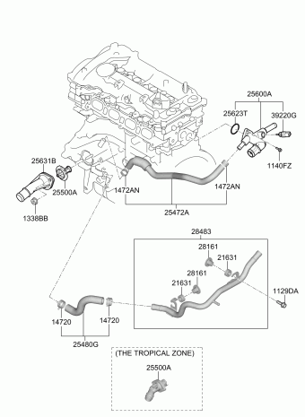 Elantra 12.04.2021 2021