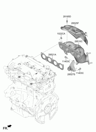 Elantra 12.04.2021 2021