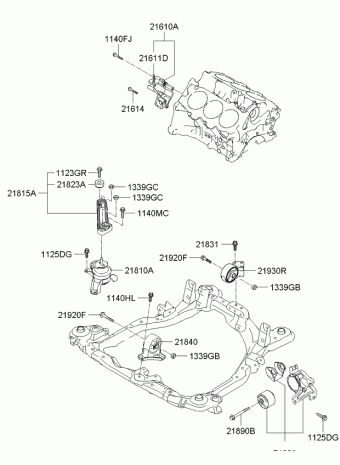 Sportage 22.01.2010 2010