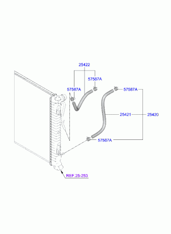 K5 23 (2023-) 12.01.2024 2024