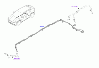 EV6 Electric 23.01.2024 2024