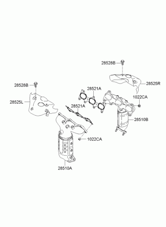 Optima/Magentis 26.01.2010 2010