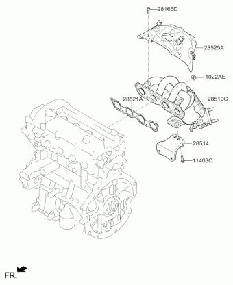 Picanto 21.01.2020 2020