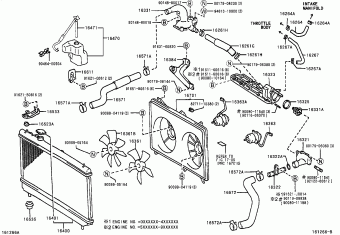 LEXUS RX300 MCU10L-AWPGKA MCU1#