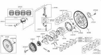 QASHQAI+2 09.2008 G