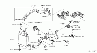 JUKE 08.2015 Z