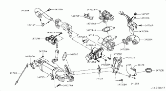 JUKE 09.2015 Q
