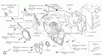 SAFARI PICK UP 08.2011 K - GRAY
