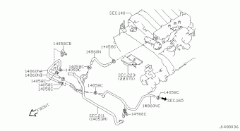 PATHFINDER 11.2001 C - BEIGE