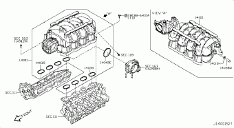 SAFARI 01.2014 G - BLACK