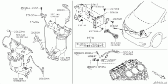 ELGRAND 07.2014 X - グランドブラック