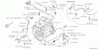 TERRANO 02.2002 W