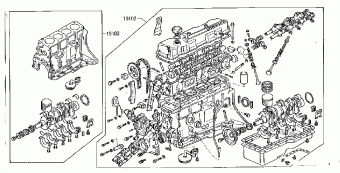 LEOPARD/TR-X 09.1980 09.1982