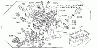 LEOPARD/TR-X 09.1980 09.1982