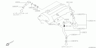 SILVIA 11.1997 G