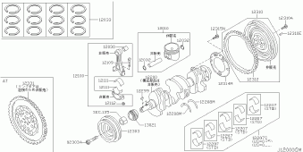 BLUEBIRD SYLPHY 04.2005 C