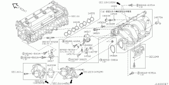 BLUEBIRD SYLPHY 03.2004 C