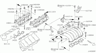 MAXIMA 08.1999 C - BEIGE