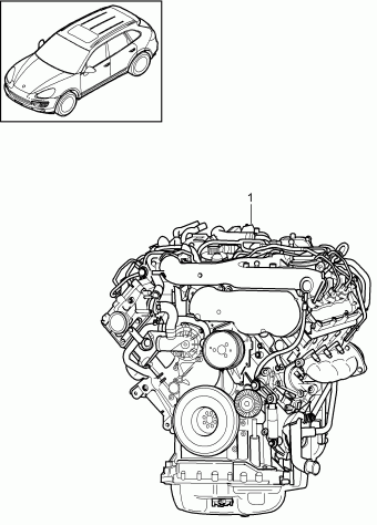 Cayenne 08.07.2010 2011