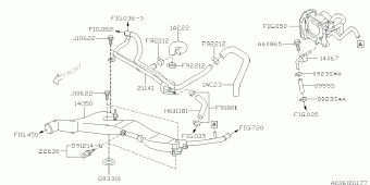 IMPREZA USA 09.08.2013