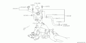 IMPREZA USA 11.11.2011