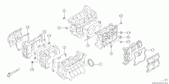 IMPREZA USA 06.12.2011