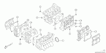 IMPREZA USA 08.09.2015