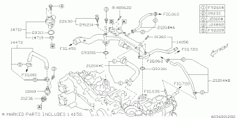 IMPREZA USA 22.01.2016