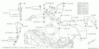 IMPREZA USA 08.09.2015