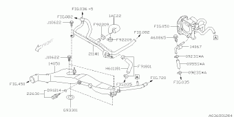 FORESTER Europe/General 06.03.2012