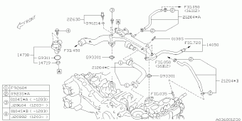 FORESTER USA 17.10.2011