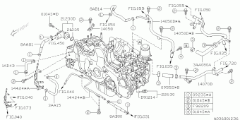 FORESTER Europe/General 24.12.2011