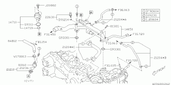 FORESTER Europe/General 02.03.2015
