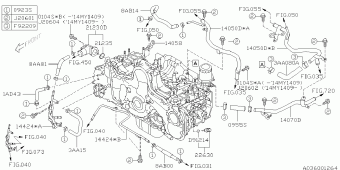FORESTER Europe/General 01.08.2014