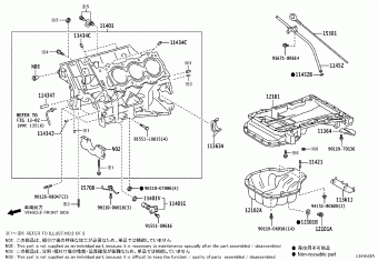HILUX (DOUBLE CAB) GGN125L-DTTHKV 09.2021