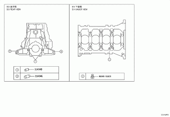 HILUX (SCB/XTR) GUN125R-BTFLXD 09.2024