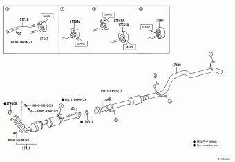 HILUX (SCB/XTR) GUN125R-BNFSXN 09.2024