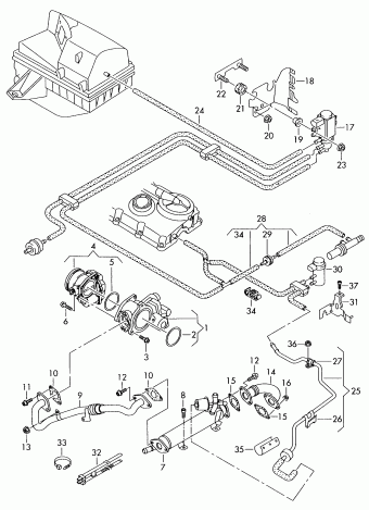 Tiguan 13.02.2010 2010