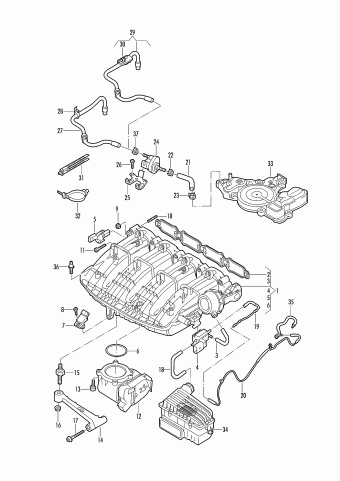 Tiguan Allspace 04.07.2017 2017